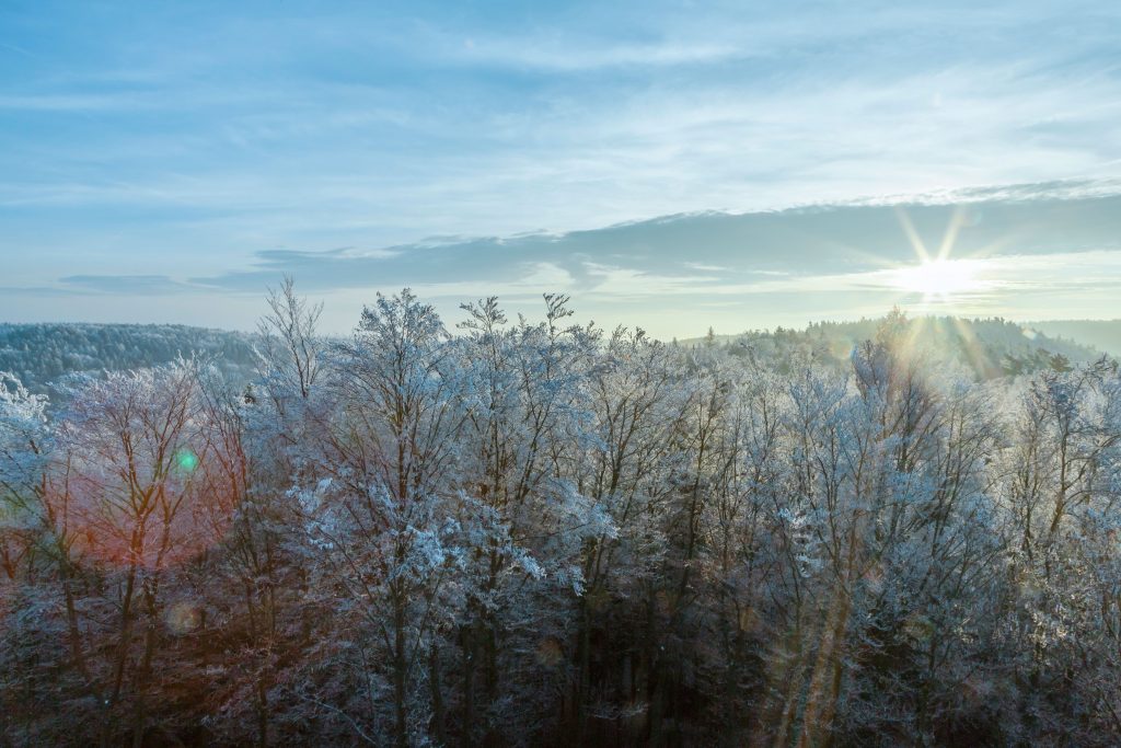 Sonnenaufgang über winterlicher, bewaldeter Hügellandschaft