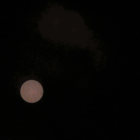 animierte GIF-Datei Silvester Feuerwerk funkelnde Lichtpunkte